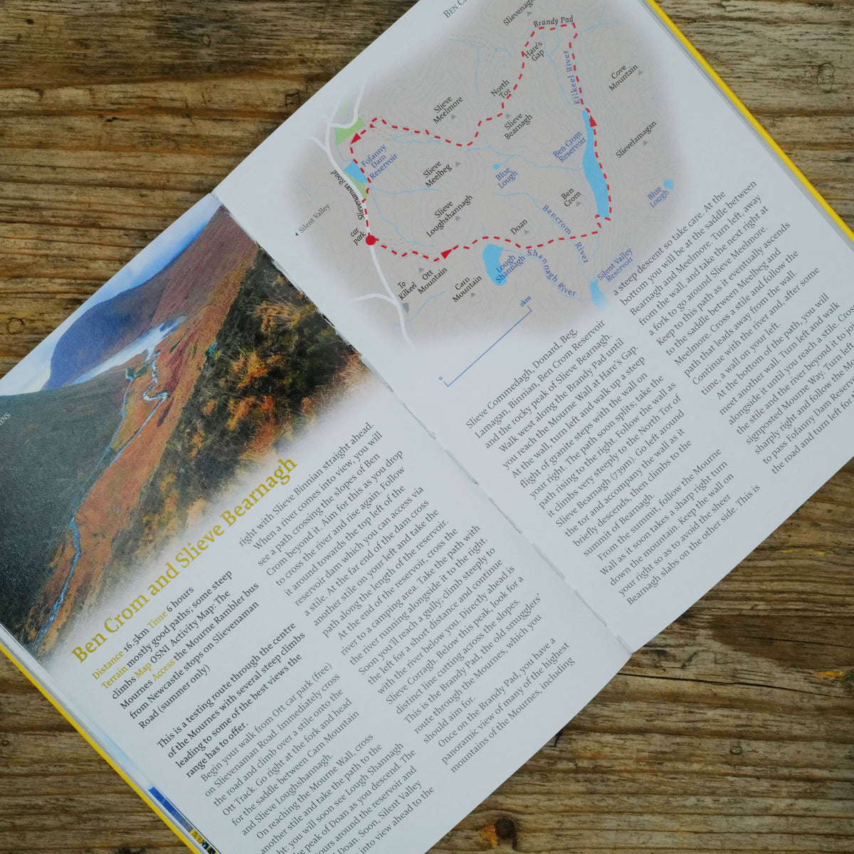 Northern Ireland: 40 Favourite Walks by penny black showing inside pages