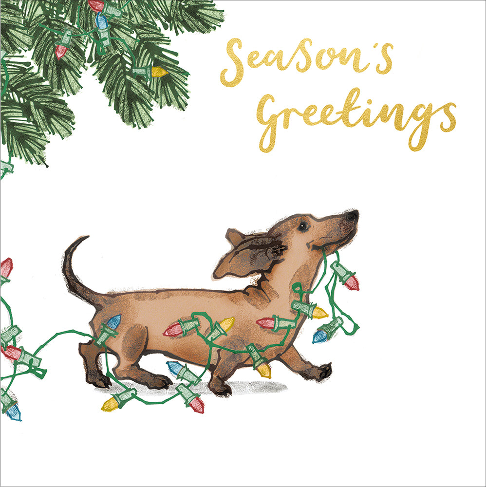Festive Mischievious Dogs Box Of 10 Christmas Cards By Penny Black