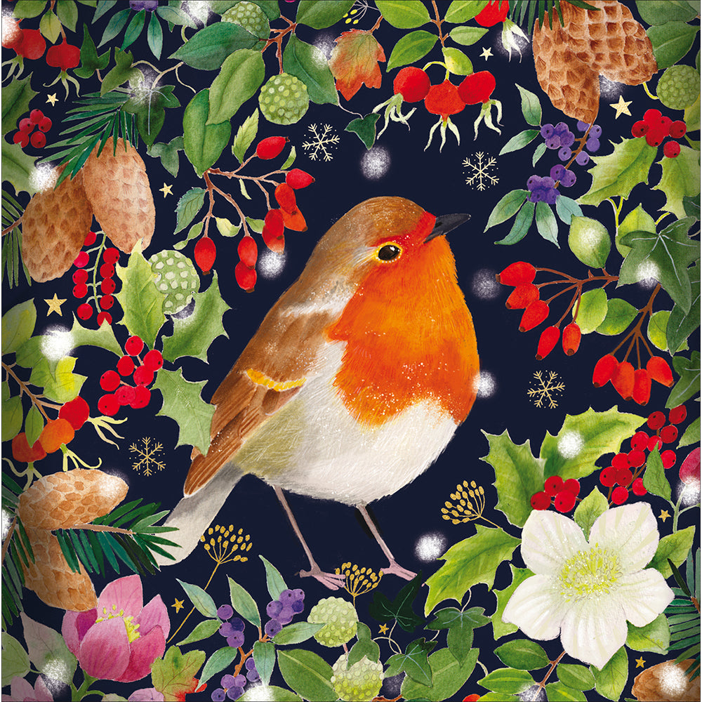 Winter Birds Robin & Pheasant Box Of 10 Christmas Cards By Penny Black