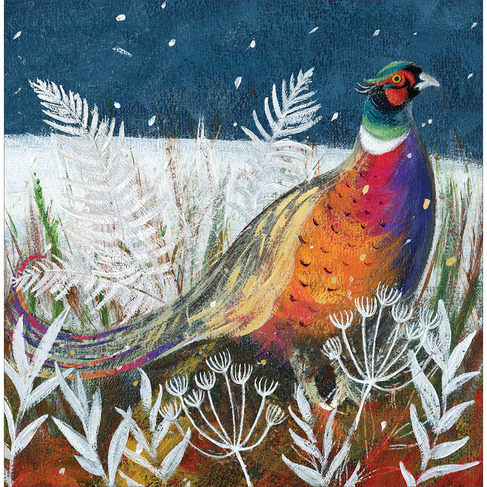 Winter Birds Robin & Pheasant Box Of 10 Christmas Cards By Penny Black