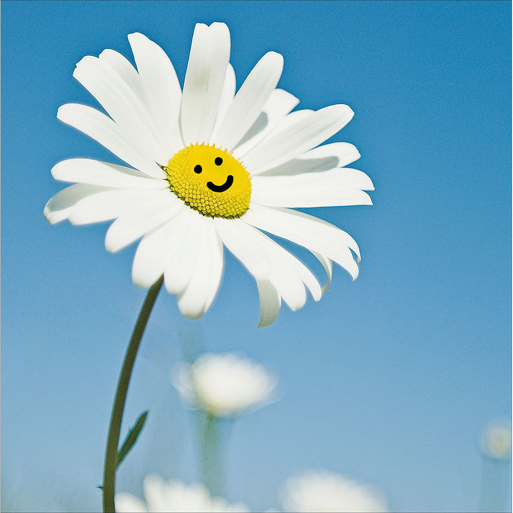 Oops A Daisy Smiling Flower Photographic Card from Penny Black