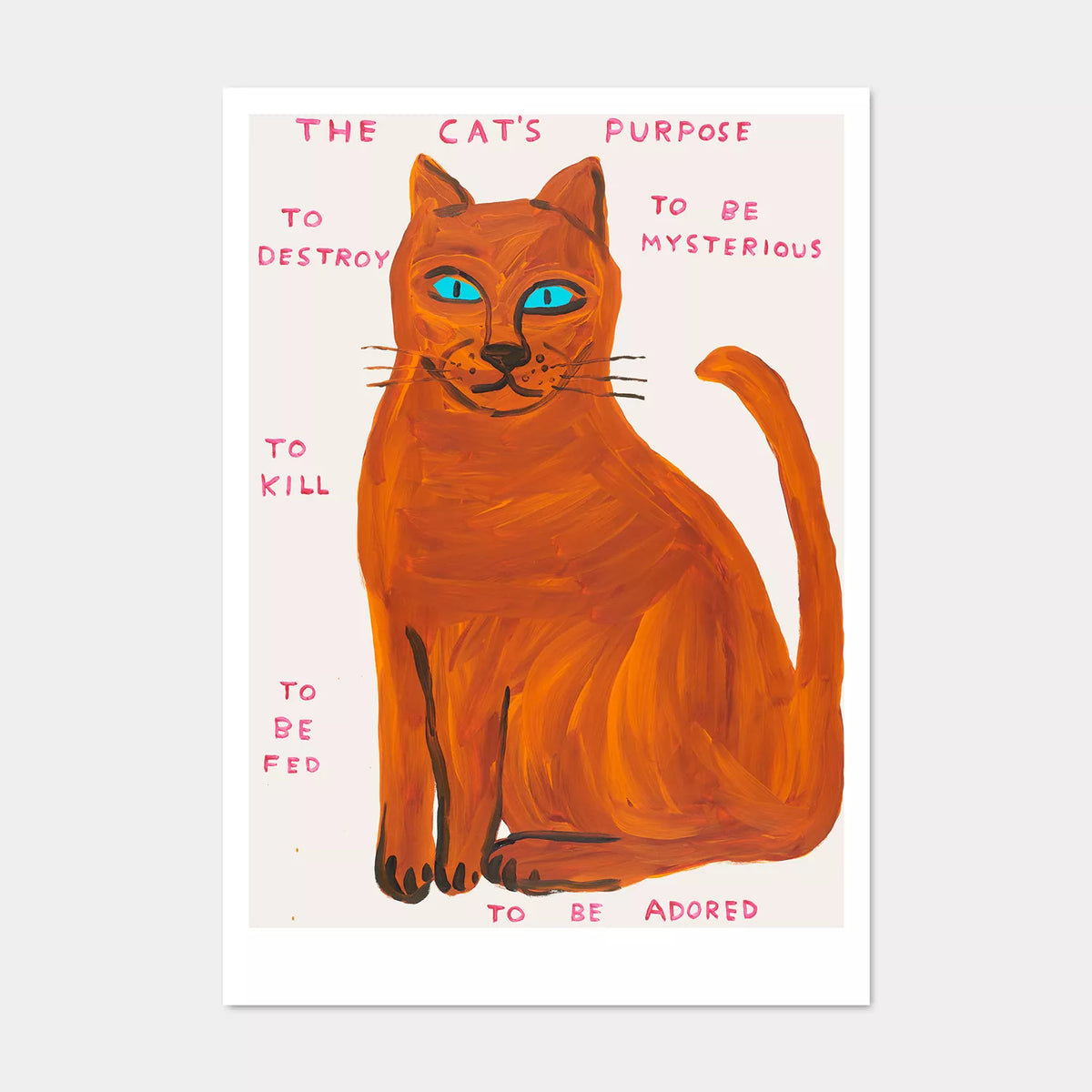 The Cat's Purpose David Shrigley Postcard by penny black