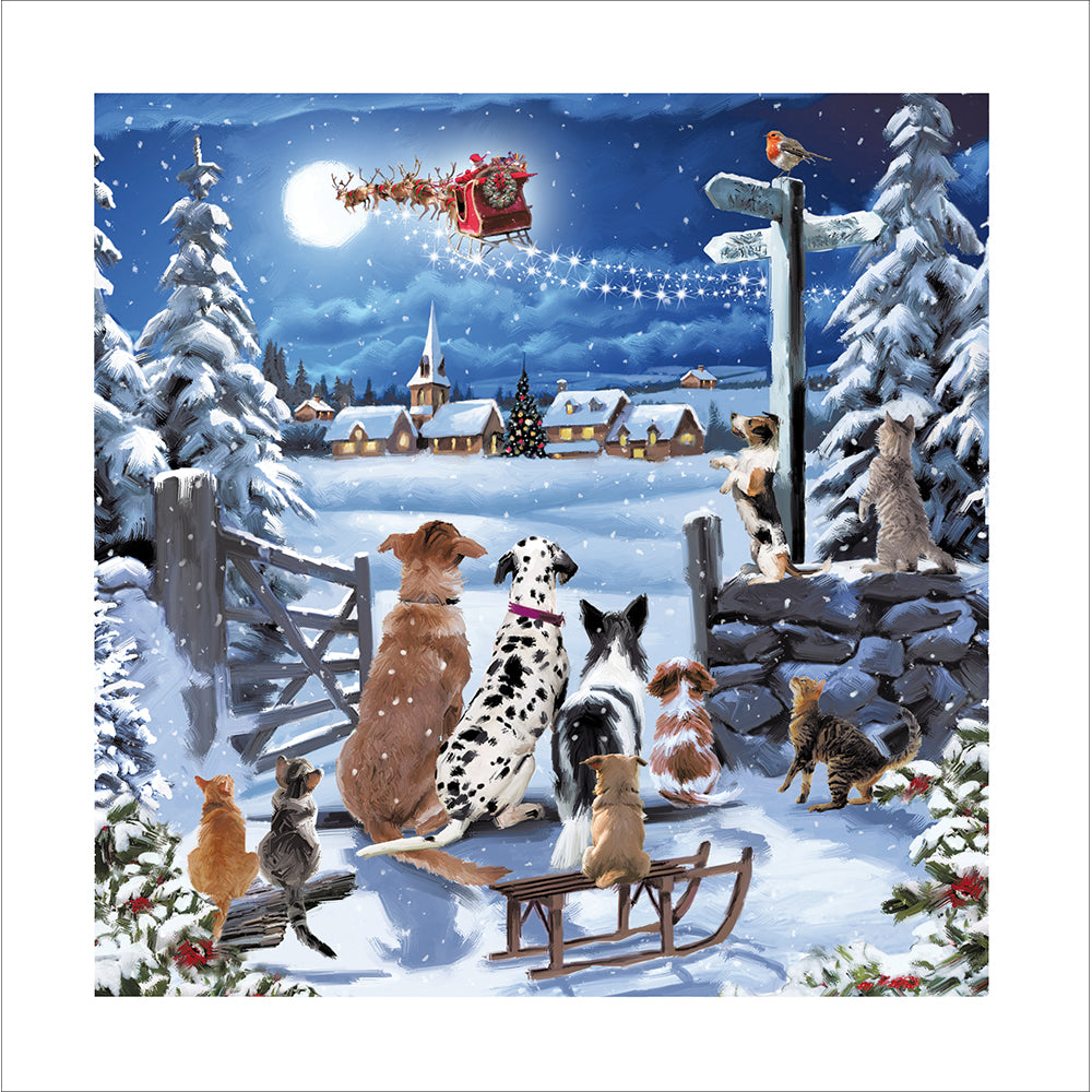 Midnight Watch Waiting For Santa Christmas Card By Penny Black