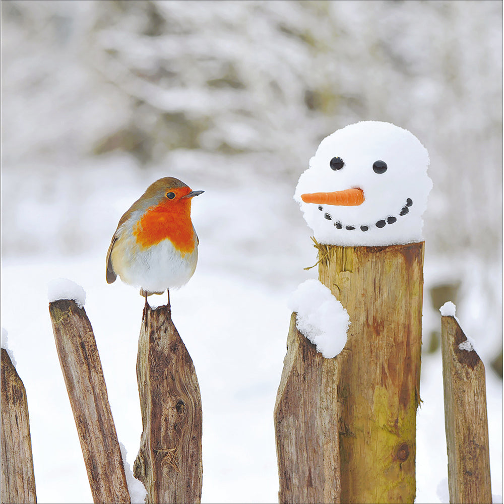 Winter Friends Robin & Snowman Christmas Card By Penny Black