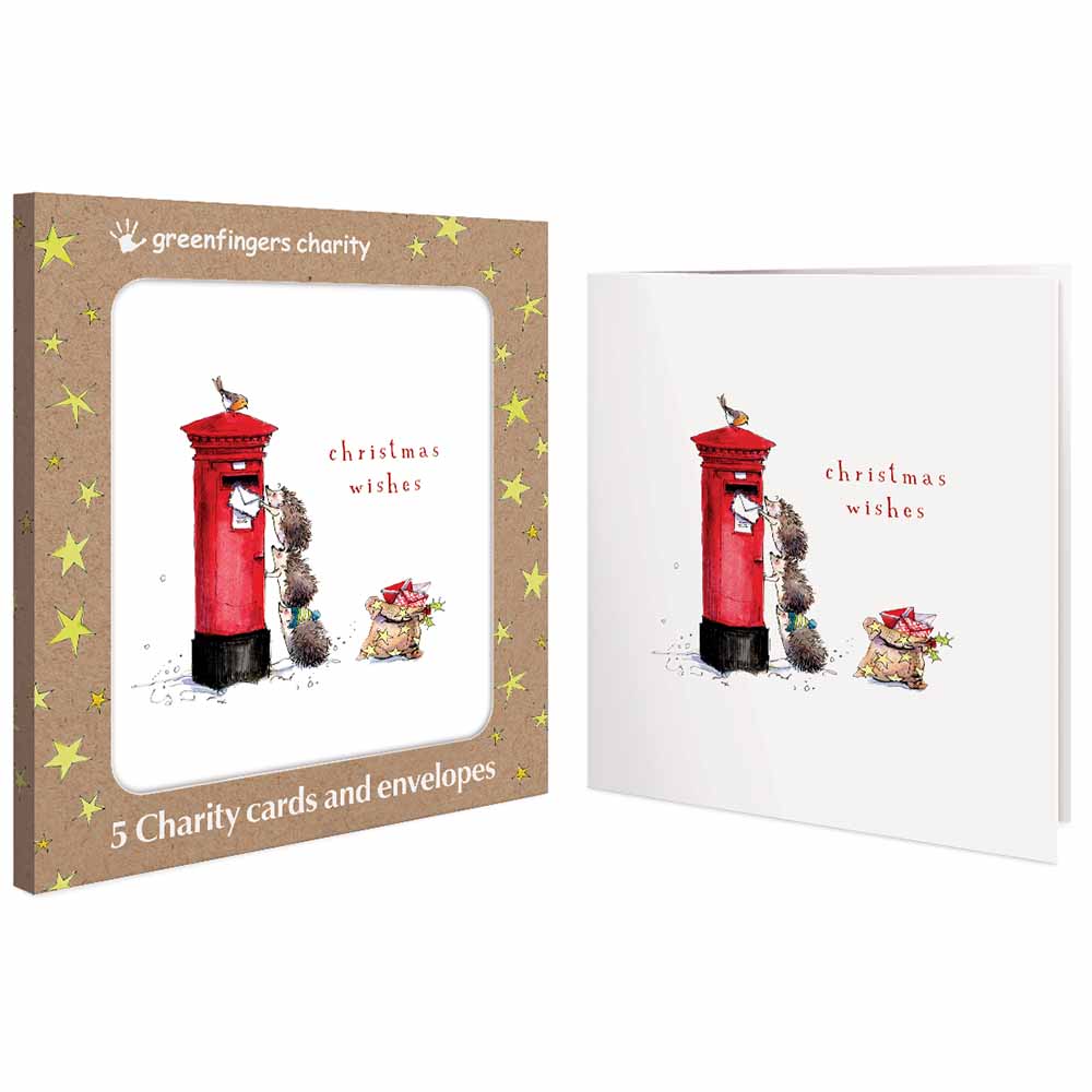 Hedgehogs Post Box Pack Of 5 Charity Christmas Cards By Penny Black