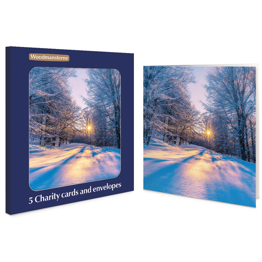 Low Winter Sun Pack Of 5 Charity Christmas Cards By Penny Black