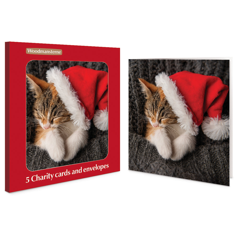 Sleepy Kitten Santa Hat Pack Of 5 Charity Christmas Cards By Penny Black