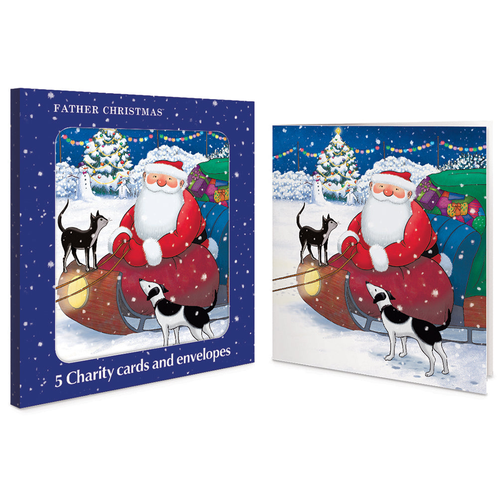 Raymond Briggs Father Christmas In Sleigh Pack Of 5 Charity Christmas Cards By Penny Black