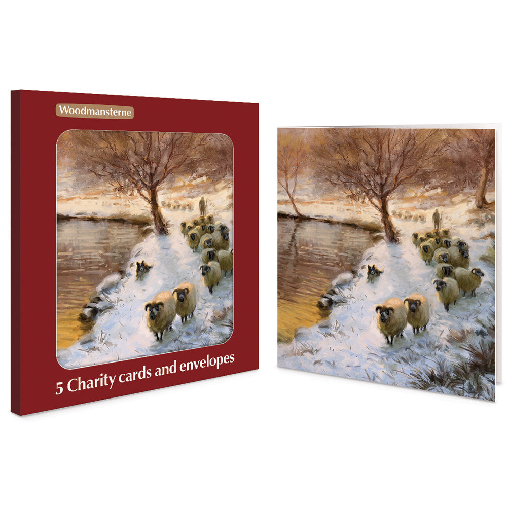 Snowy Sheep On Riverbank Pack Of 5 Charity Christmas Cards By Penny Black