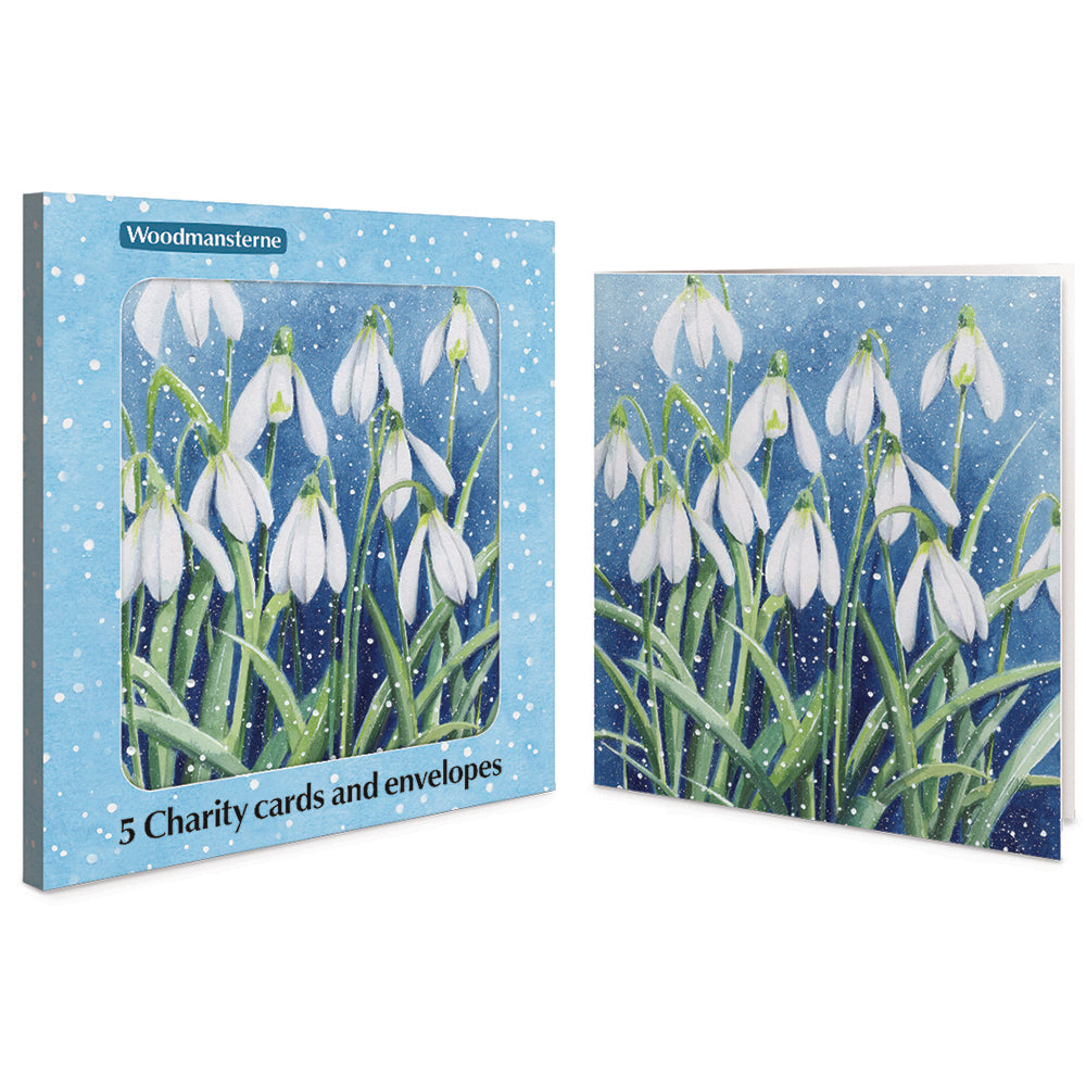 Winter Wonder Snowdrops Pack Of 5 Charity Christmas Cards By Penny Black