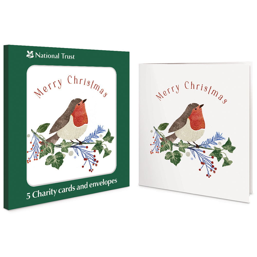 Robin On Ivy Branch Pack Of 5 National Trust Charity Christmas Cards By Penny Black