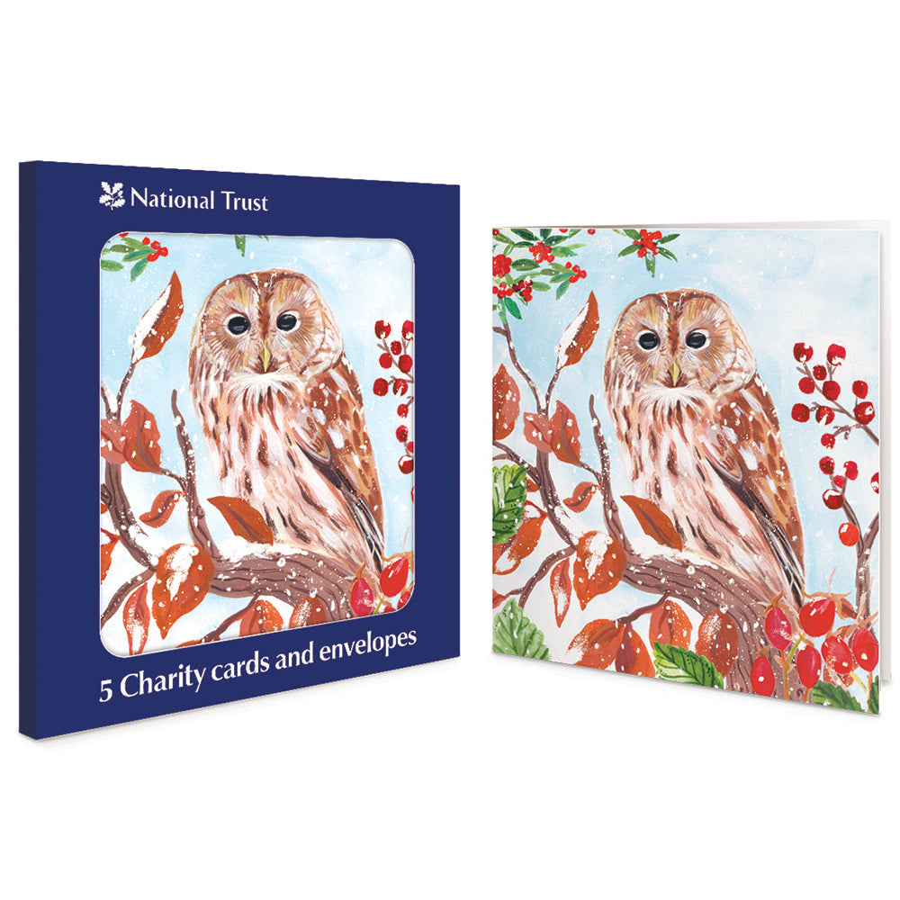 Brown Owl On Branch Pack Of 5 National Trust Charity Christmas Cards By Penny Black