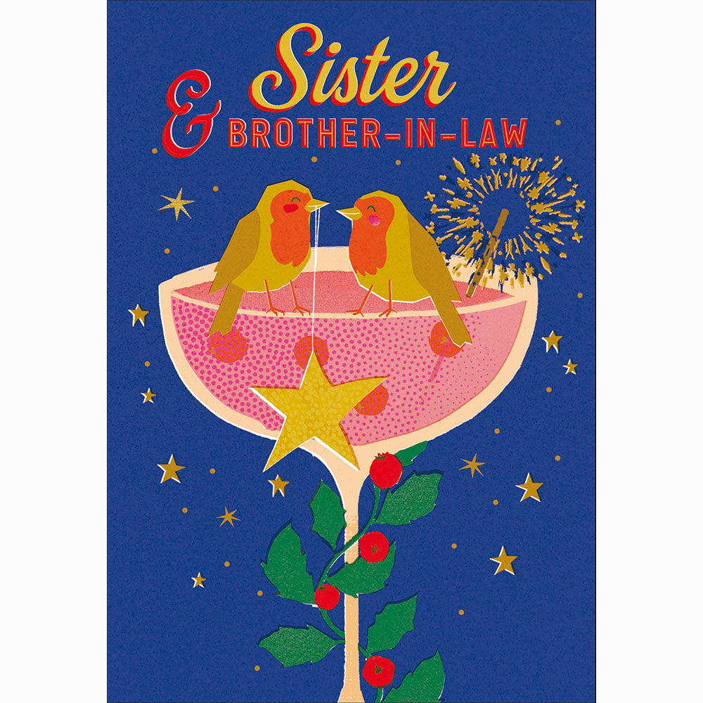 Robins Sparkler Celebrations Sister & Brother In Law Christmas Card By Penny Black