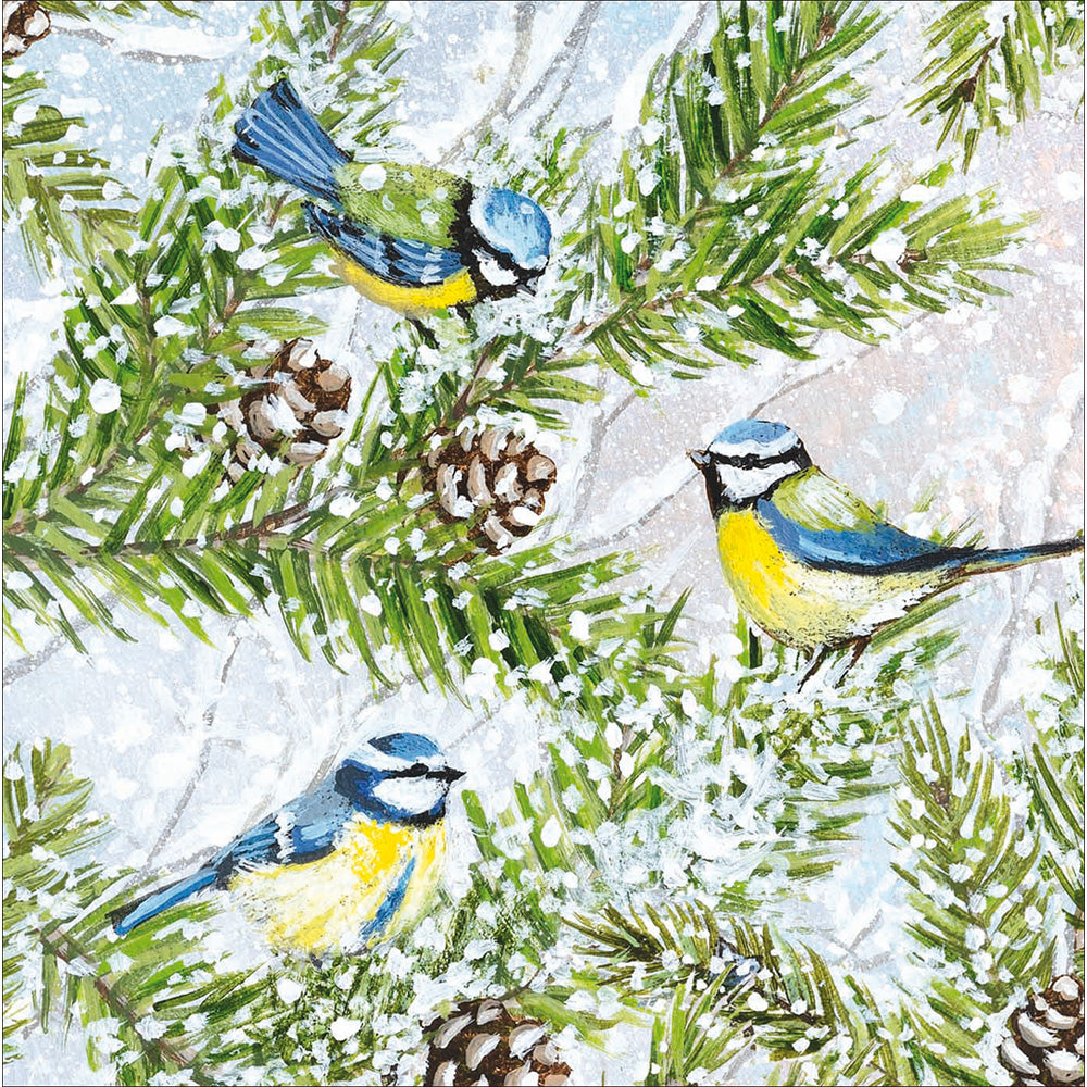 RSPB Charity Christmas Card Box Of 20 - 2026 By Penny Black