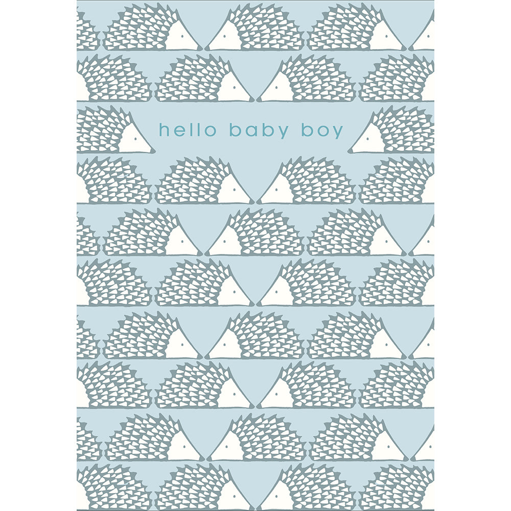 Hedgehogs Hello New Baby Boy Card from Penny Black