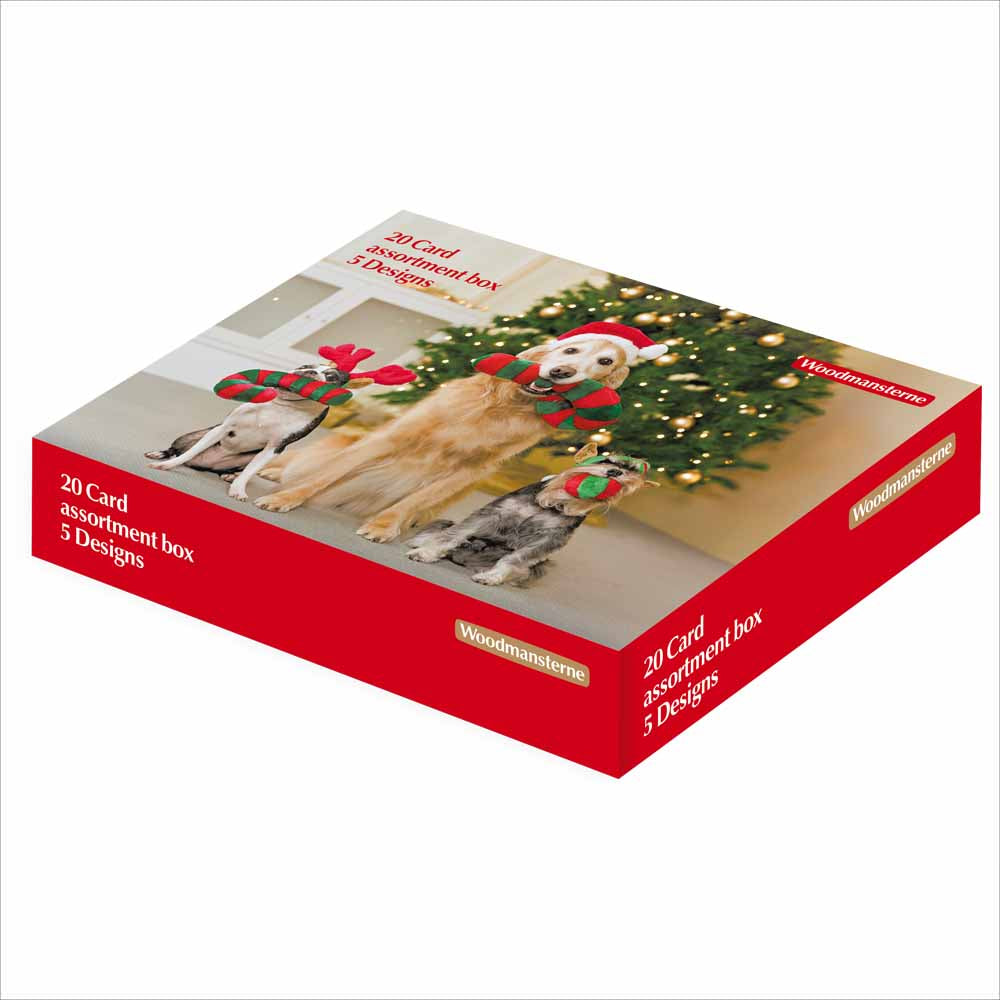 Festive Dog Chums Box Of 20 Christmas Cards By Penny Black