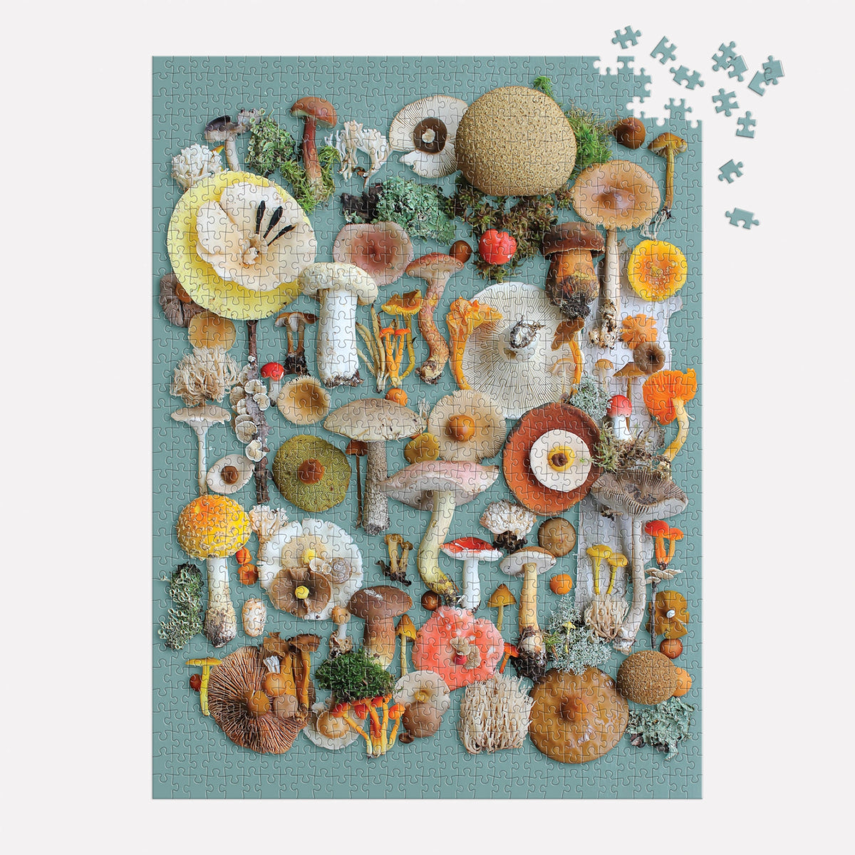Foraged Mushrooms & Moss Jigsaw Puzzle 1000 Pcs By Penny Black