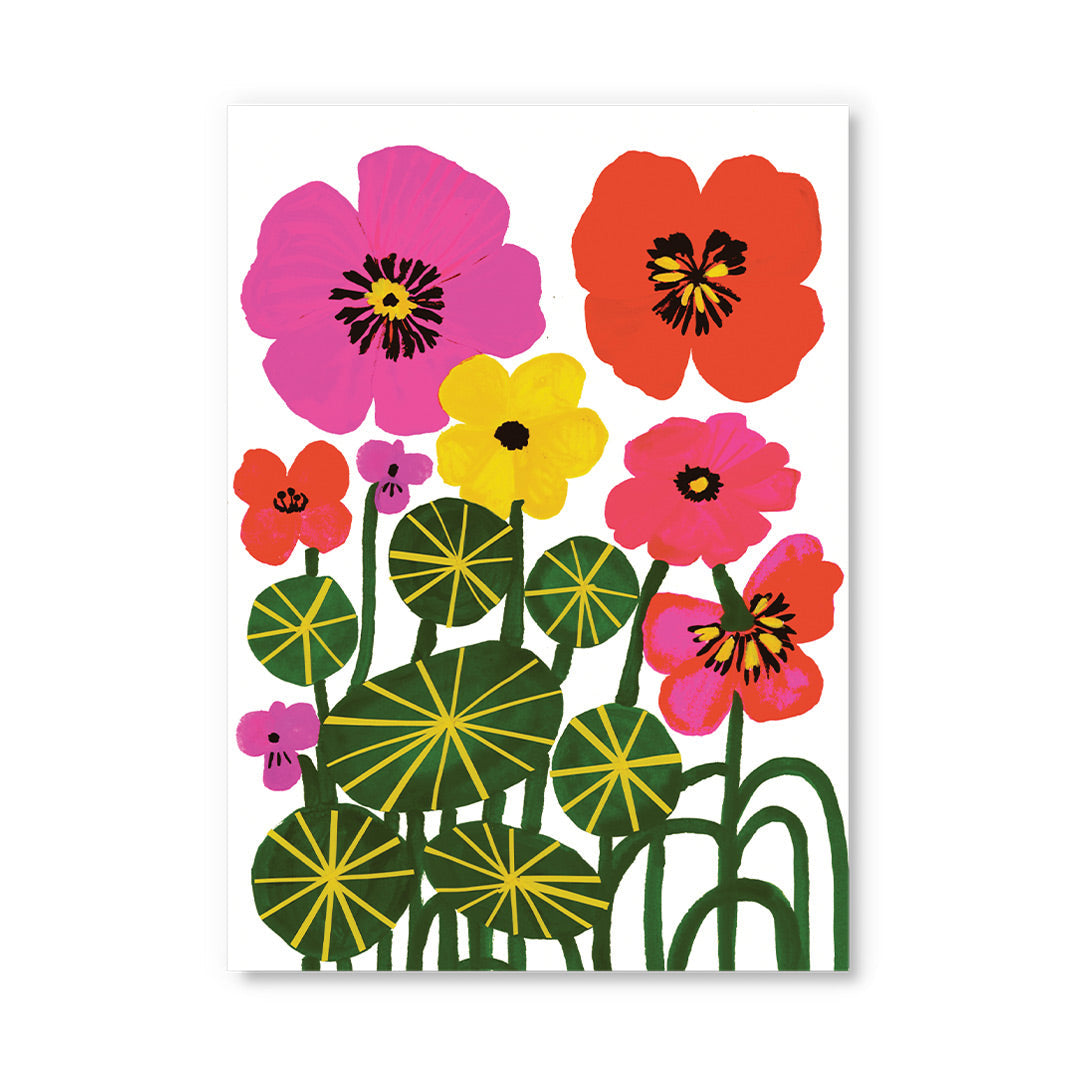 Colourful Nasturtiums Postcard By Penny Black