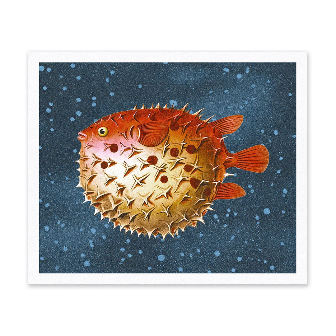 Puffer Fish Riso Print | Penny Black