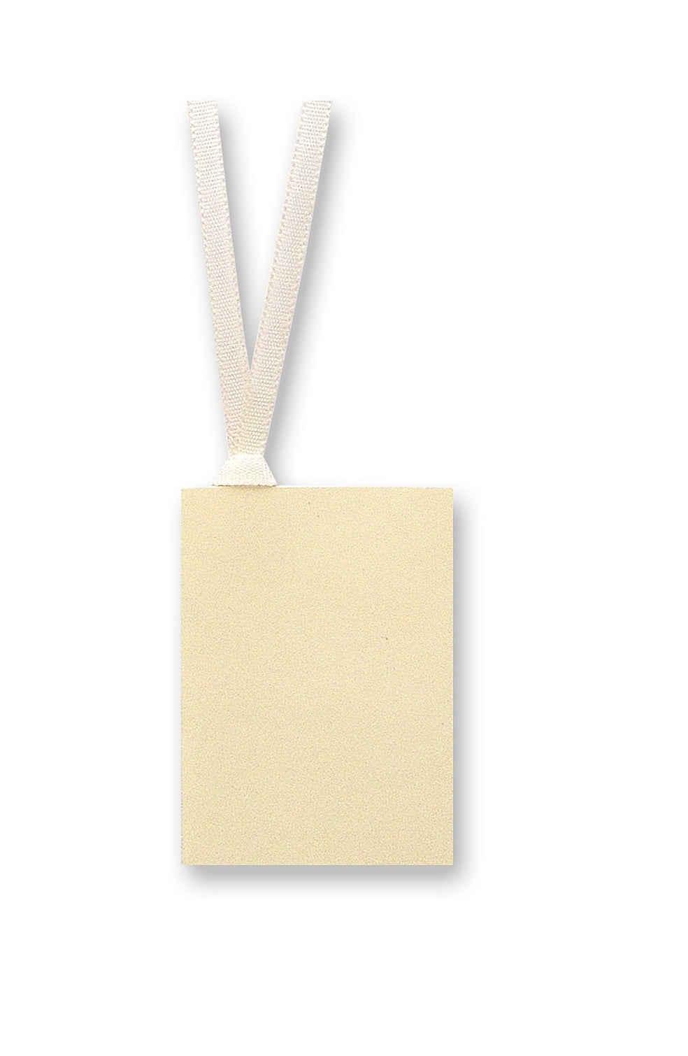 Gift Tag With Ribbon in cream - Penny Black