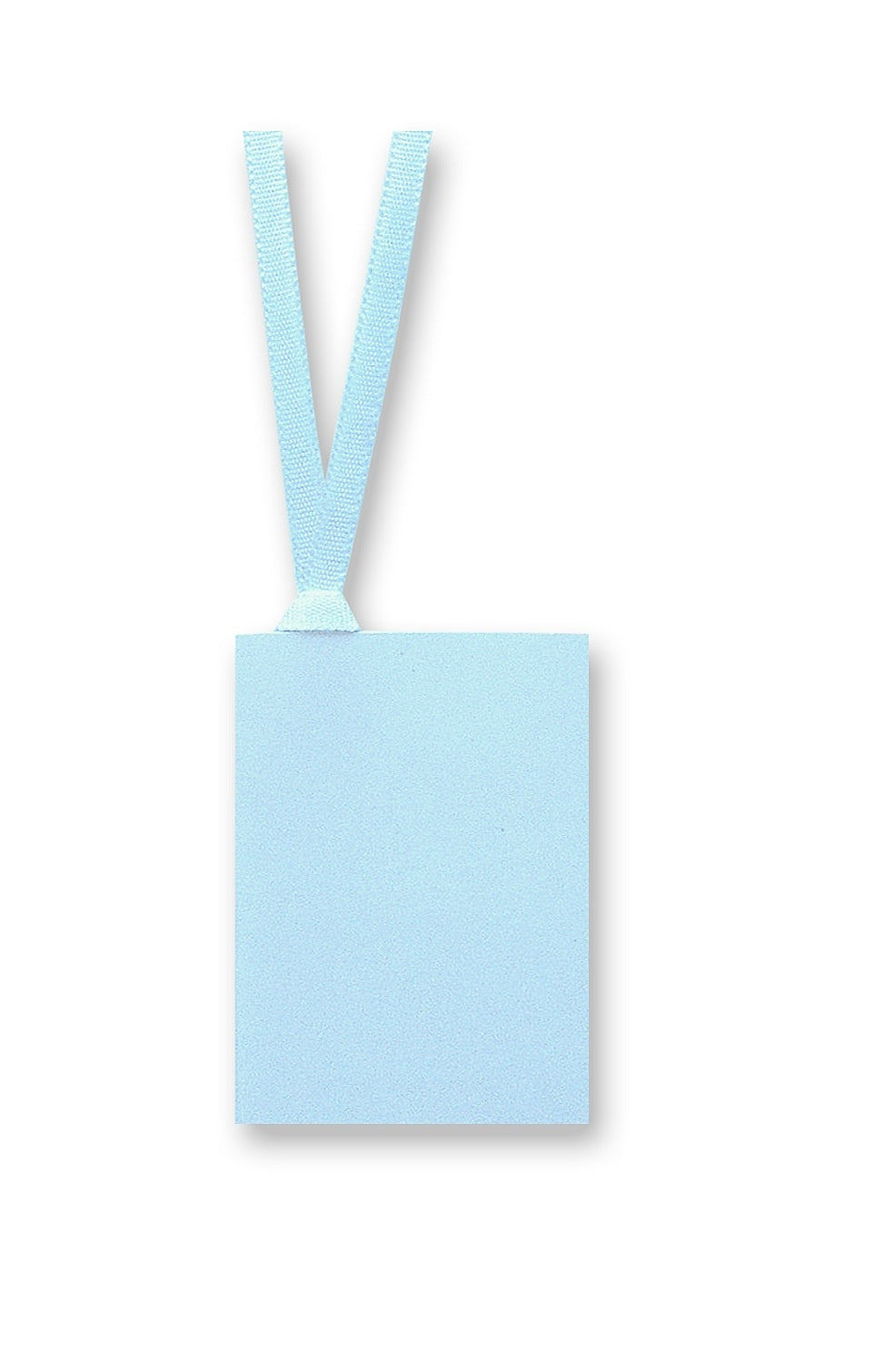Gift Tag With Ribbon in light blue - Penny Black