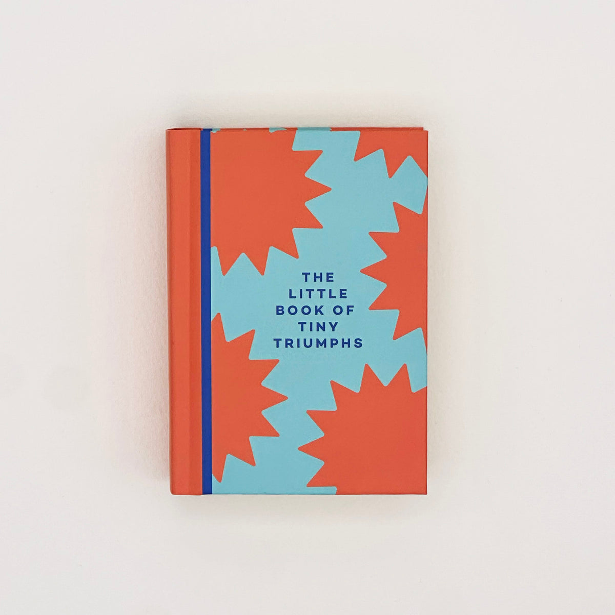 In Real Life The Little Book Of Tiny Triumphs Mini Journal By Penny Black
