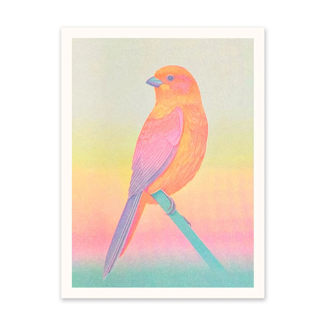 Neon Ombre Bird Riso Print | Penny Black