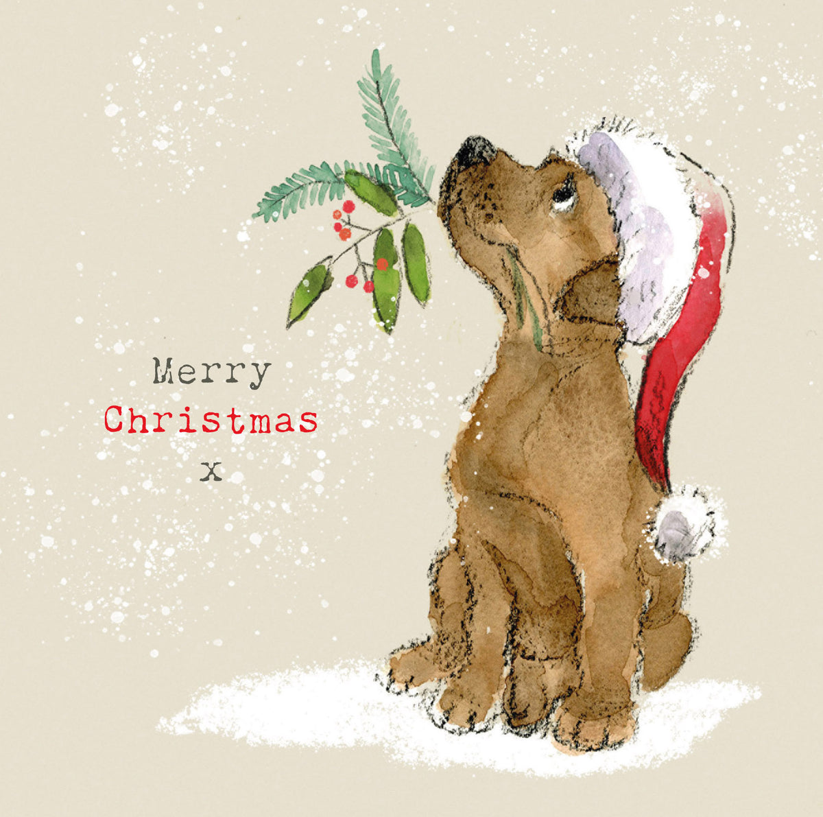 Cute Chocolate Labrador In Santa Hat Christmas Card By Penny Black