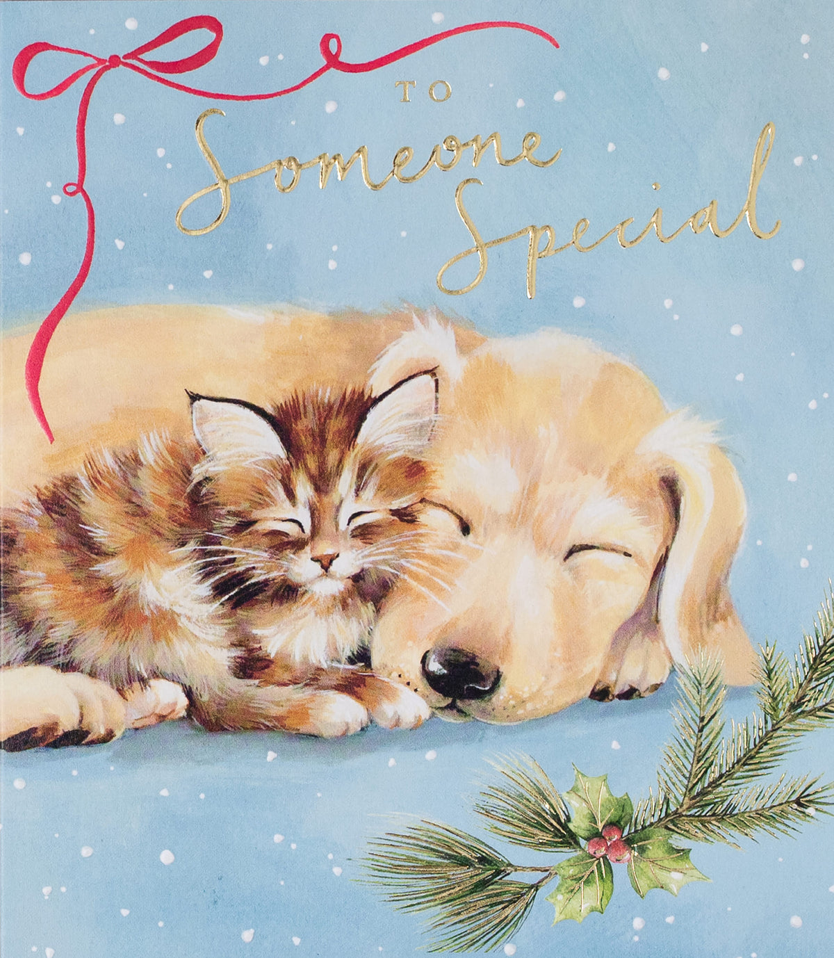 Someone Special Snoozing Cat & Dog Christmas Card By Penny Black