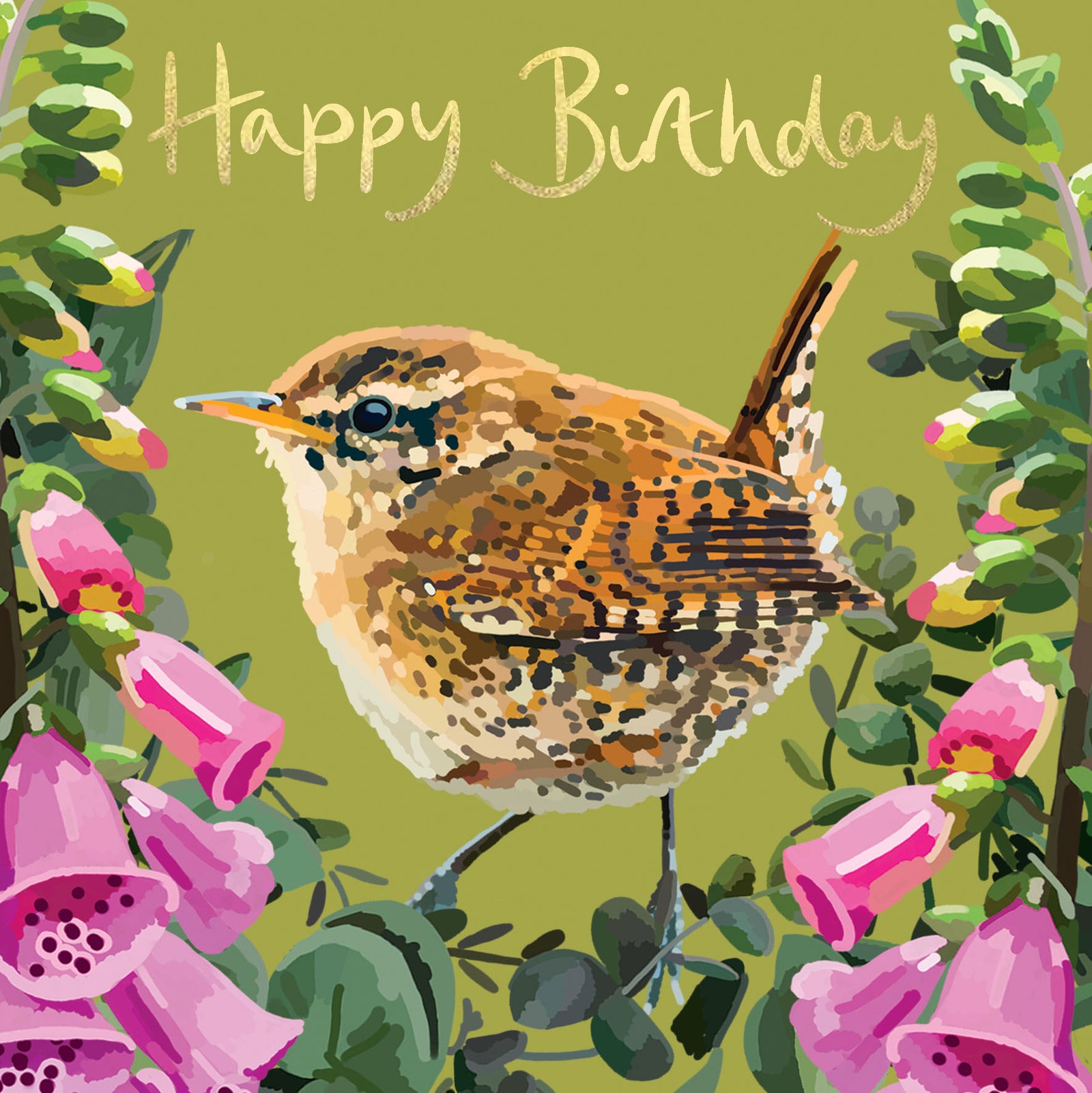 Wren British Birds Birthday Card from Penny Black