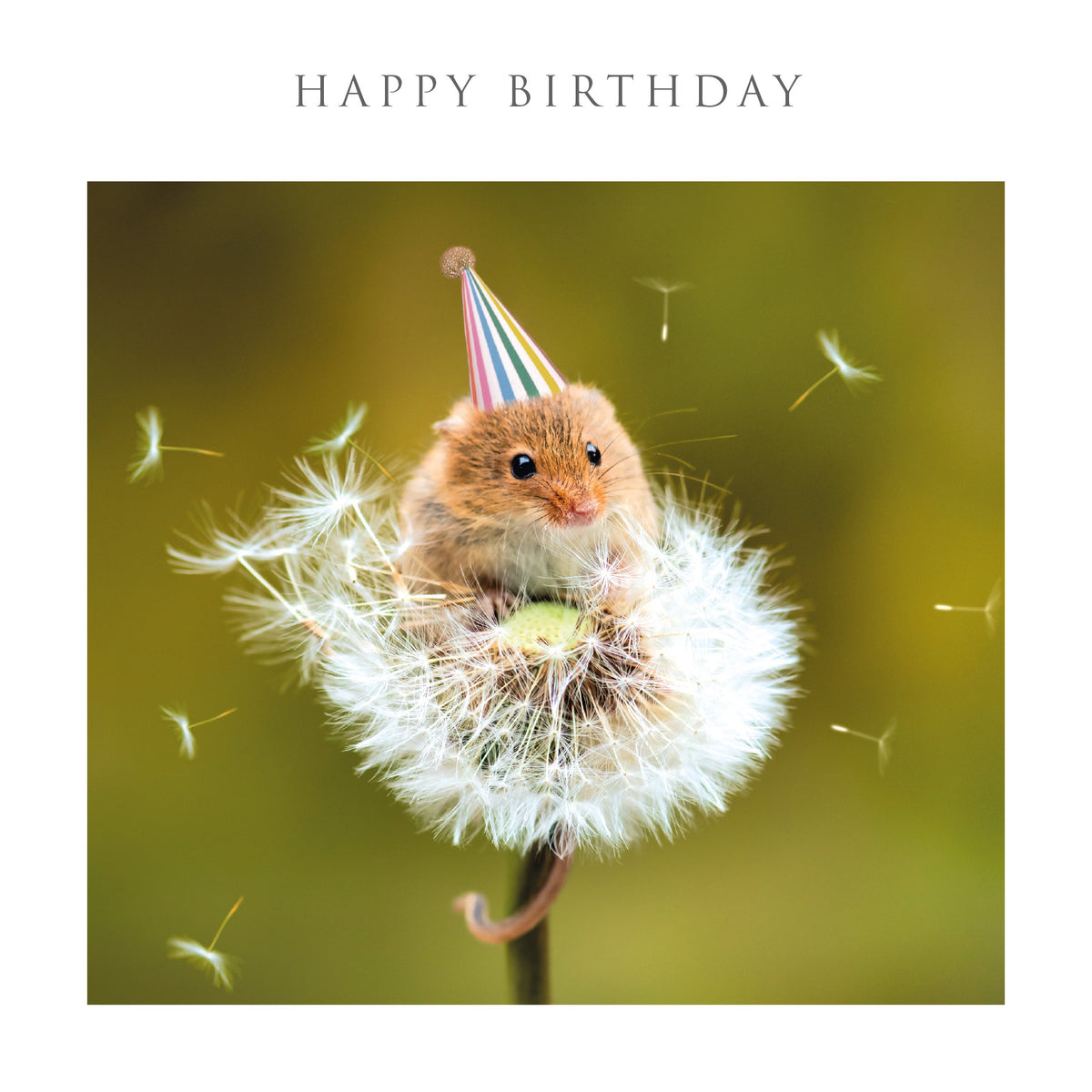 Mouse In A Party Hat Birthday Card at Penny Black