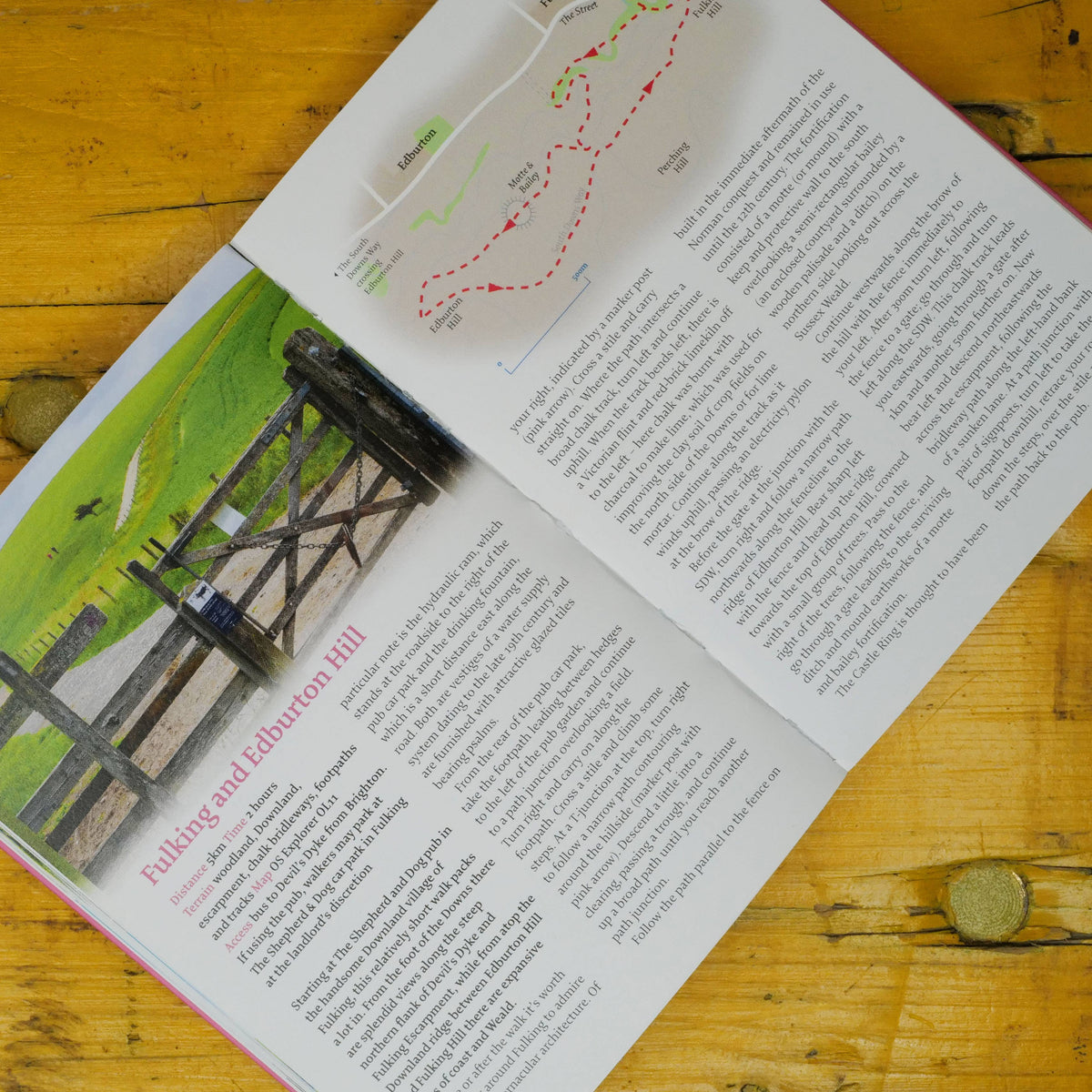 Brighton and the South Downs: 40 Favourite Walks by penny black showing inside