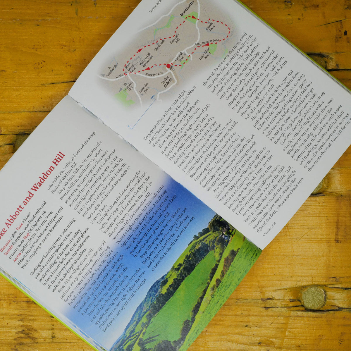 Dorset: 40 Coast and Country Walks by penny black showing inside pages