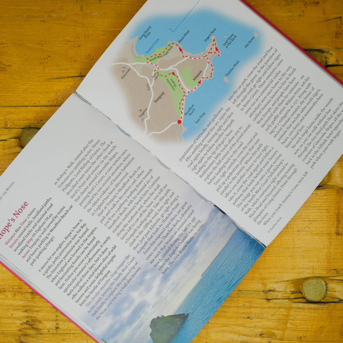 Devon: 40 Coast and Country Walks by penny black showing inside pages