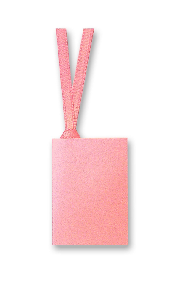 Gift Tag With Ribbon in pearlised pink - Penny Black