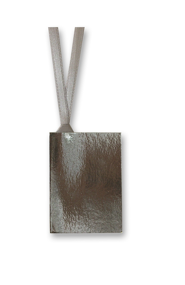 Gift Tag With Ribbon in metallic silver - Penny Black