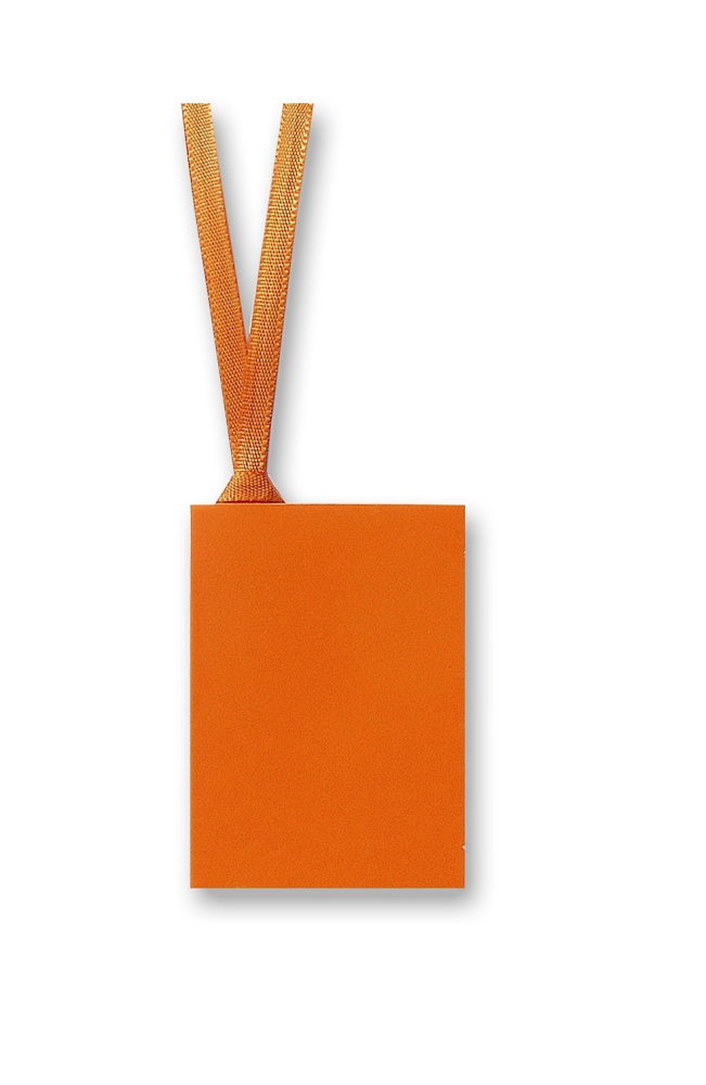 Gift Tag With Ribbon in orange - Penny Black