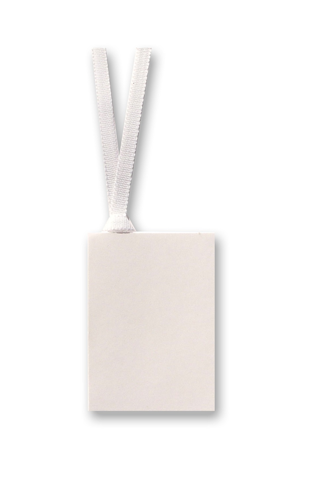 Gift Tag With Ribbon in white - Penny Black