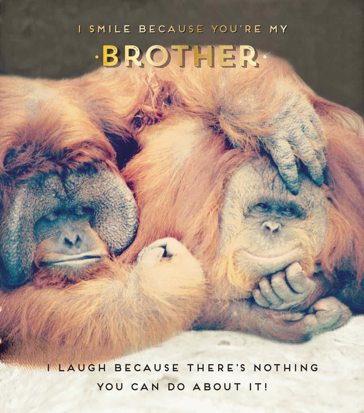I Smile Because You're My Brother Birthday Card